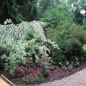 Bed & Breakfast Le Pas De L'ane D'hotes, Saint-Ondras
